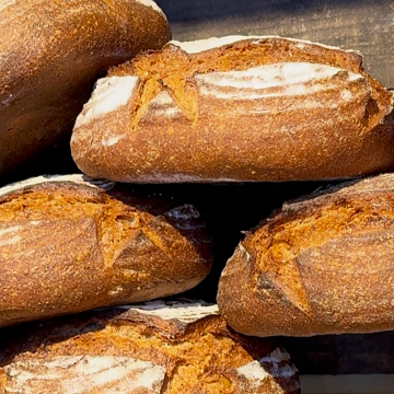 Rye Sourdough